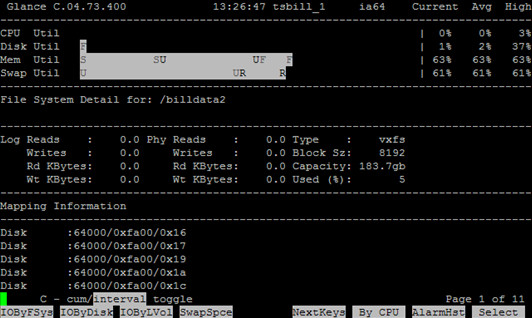 HP-UX在线性能监控工具GlancePlus介绍（一） - 王大头 - 王大头